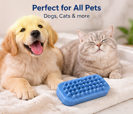 Single Sided Dog Curry Brush