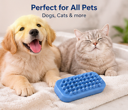 Single Sided Dog Curry Brush